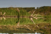 ukraina_zbrucz